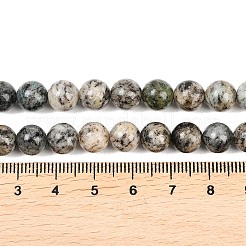 Натуральный камень k2 бусины пряди&nbsp;G-K405-B03-8mm