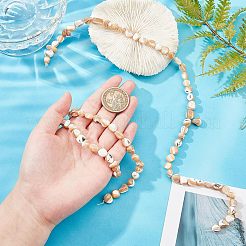 2 нити натуральных бусин из ракушек трохид/трохус&nbsp;SSHEL-FH0001-11