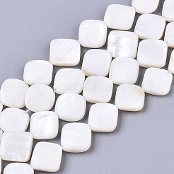 4 нить бусин из натуральных пресноводных ракушек&nbsp;SHEL-SC0001-77