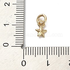 Золотые латунные подвески&nbsp;LS-KK-H493-01G-09