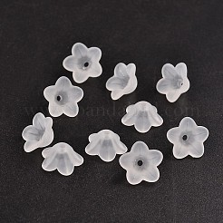 Прозрачные акриловые бусины&nbsp;PL560