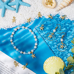 30 шт. подвески из гальванического сплава&nbsp;FIND-SC0012-41