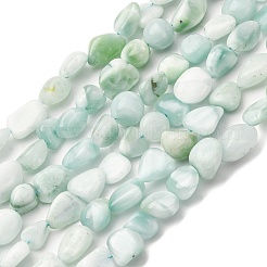 Бусины из натурального стекла&nbsp;G-K395-A02-02