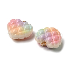 Подвески из непрозрачных смоляных бусин радужных цветов в виде вафель&nbsp;RESI-F035-01