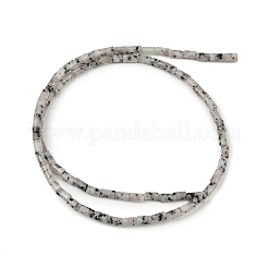 Натуральный шрам яшмы&nbsp;G-P600-B11-01