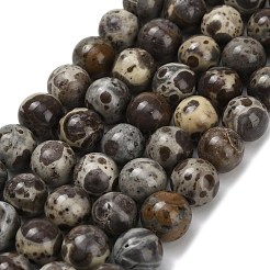 Нити бусин из натурального астроита и яшмы&nbsp;G-F814-A01-8mm