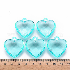 Прозрачные акриловые подвески&nbsp;LS-TACR-T024-03B-946