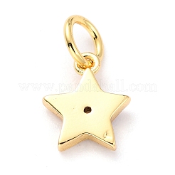 Латунь эмаль подвески&nbsp;KK-M218-10B-RS