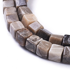 Природные окаменелые коралловые бусы пряди&nbsp;G-D0020-13A