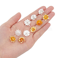 60 шт. 10 стильных 3D латунных колпачка для бусин&nbsp;KK-FH0006-47