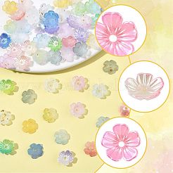 480шт 12 цвета акриловые колпачки для бусин&nbsp;OACR-FS0002-24