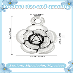 70 шт. 2 цвета подвески из сплава в тибетском стиле&nbsp;FIND-LP0002-37