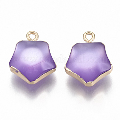 Подвески из смолы&nbsp;RESI-S383-031D