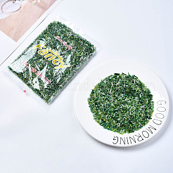 Бисер из стекла &nbsp;SEED-S059-006