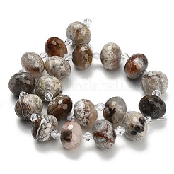 Натуральный мексиканский агат&nbsp;G-L642-I11-18x13mm