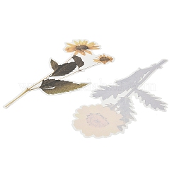 6 шт. клейкие водонепроницаемые наклейки для домашних животных&nbsp;DIY-K074-01D