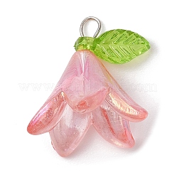 6шт прозрачные акриловые подвески&nbsp;PALLOY-JF02300-02