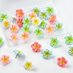 30 шт. булавки-кабошоны из смолы плюмерия&nbsp;AJEW-SC0031-18