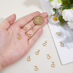 12 шт.&nbsp;KK-HS0015-04