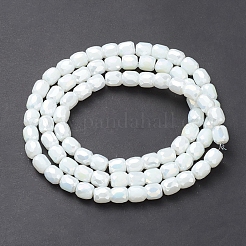 Стеклянные бусины с гальваническим покрытием &nbsp;EGLA-K015-08I