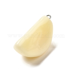 Подвески из непрозрачной смолы&nbsp;LS-FIND-I044-16B