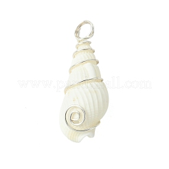 Кулоны из натуральных ракушек&nbsp;PALLOY-JF02794-02