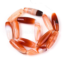 Натуральные полосатые агатовые / полосатые агатовые бусинки&nbsp;G-S280-10E