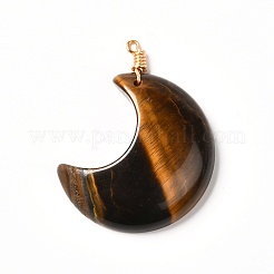 Природные и синтетические Gemstone подвески&nbsp;PALLOY-JF00854