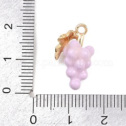 Подвески с эмалью из фруктового сплава&nbsp;ENAM-P264-02G-G04