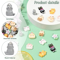 16шт 8 стиля непрозрачные подвески из смолы&nbsp;RESI-YW0003-17