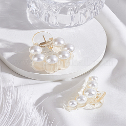 2 шт. 2 стиля заколка для волос из смолы в виде когтя для девочек и женщин&nbsp;PHAR-LP0001-14