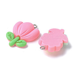 20шт 20 стиля непрозрачные подвески из смолы&nbsp;RESI-V001-01