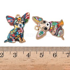 Подвески из эмали и сплава&nbsp;FIND-Z100-02G