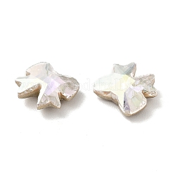 K9 стеклянные каноши&nbsp;RGLA-G017-01B-001TR