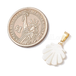 Природные подвески оболочки пресноводных&nbsp;PALLOY-JF05137-02