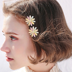 2 пакет наборов заколок для волос из сплава и смолы&nbsp;PHAR-SC0001-004