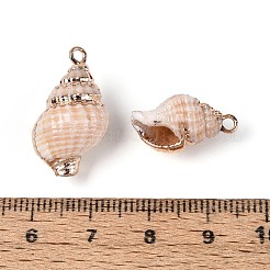 Гальванические подвески из натуральных ракушек&nbsp;BSHE-T015-09