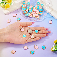 52шт 2 цвета сплава эмалевые подвески&nbsp;ENAM-TA0002-97A