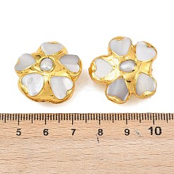 Бусины из натурального жемчуга и белых ракушек&nbsp;KK-H516-10G