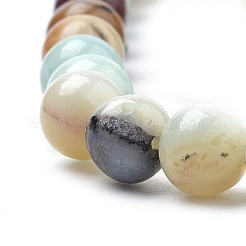 Натуральный цветок амазонитовые бусины пряди&nbsp;G-S259-13-12mm
