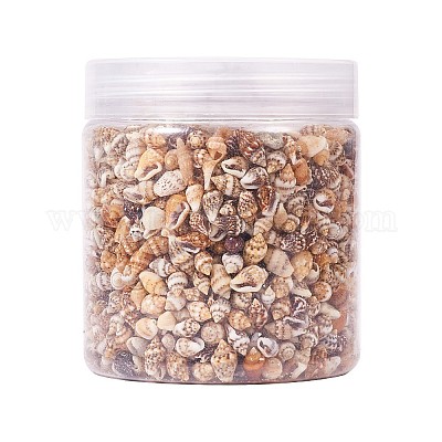 Спиральные бусины-ракушки без отверстий&nbsp;SSHEL-YW0001-01-1