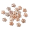Natural Sunstone Charms, Star, Faceted, 13~13.5x14~14.5x6~6.5mm, Hole: 0.8mm