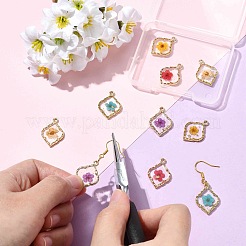 10 шт. подвески из эпоксидной смолы из цинкового сплава 5 цветов&nbsp;FIND-CJ0004-93