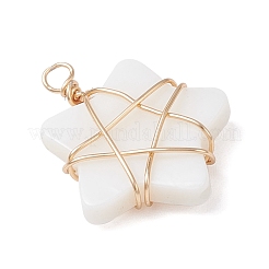 Природные подвески оболочки пресноводных&nbsp;PALLOY-JF04304