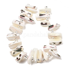 Нити бусин из натуральных трохоидных/трохус ракушек&nbsp;BSHE-A002-03A