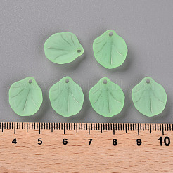 Прозрачные матовые акриловые подвески&nbsp;MACR-S371-02A-733