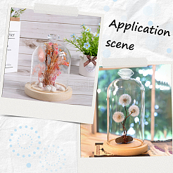 1 шт. стеклянный купол&nbsp;AJEW-SC0002-61B