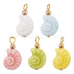 5 шт. подвески в форме фарфоровой ракушки&nbsp;PALLOY-TAC0222