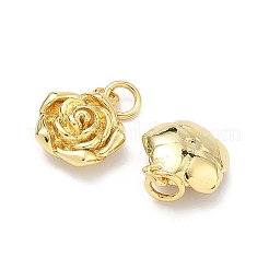 Латунные подвески&nbsp;KK-P345-64G