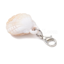 5 шт. 5 стиля акриловая ракушка морская звезда подвеска украшение&nbsp;HJEW-JM03875